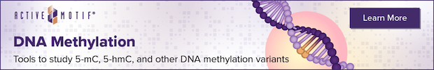 dna-methylationpng